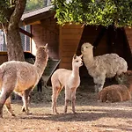 Familiengut Burgstaller 4* Döbriach