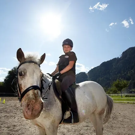 فندق Familiengut Burgstaller 4*