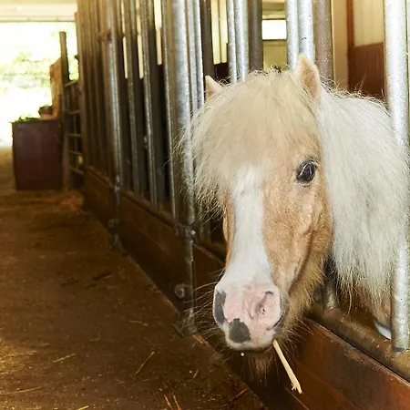 Familiengut Burgstaller Добриах