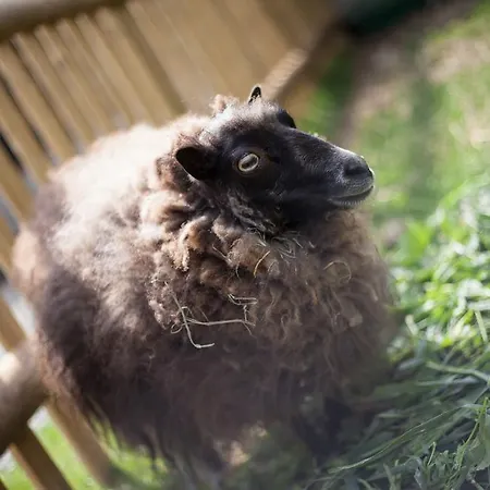 Familiengut Burgstaller Отель 4*