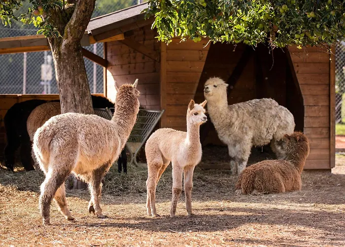 Familiengut Burgstaller 4* Dobriach