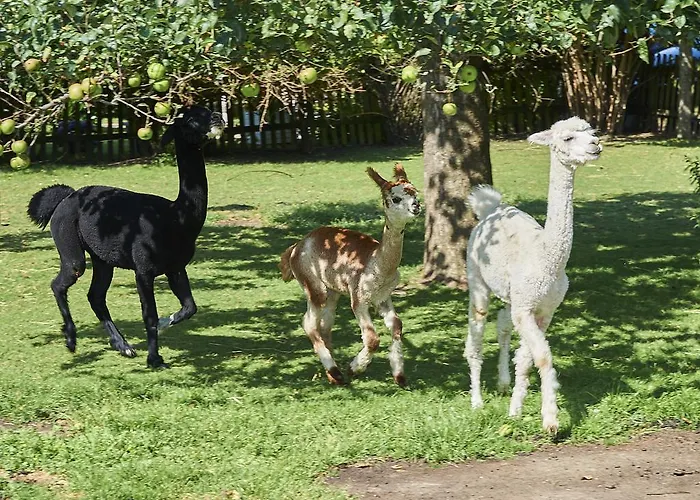 Familiengut Burgstaller