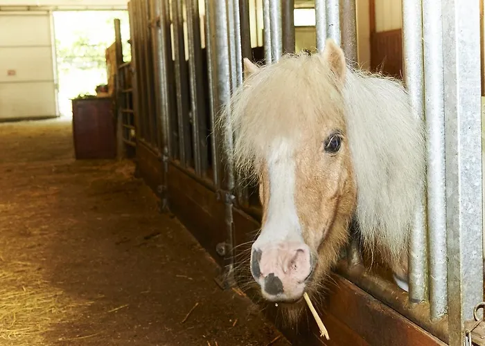 Familiengut Burgstaller דובריאך