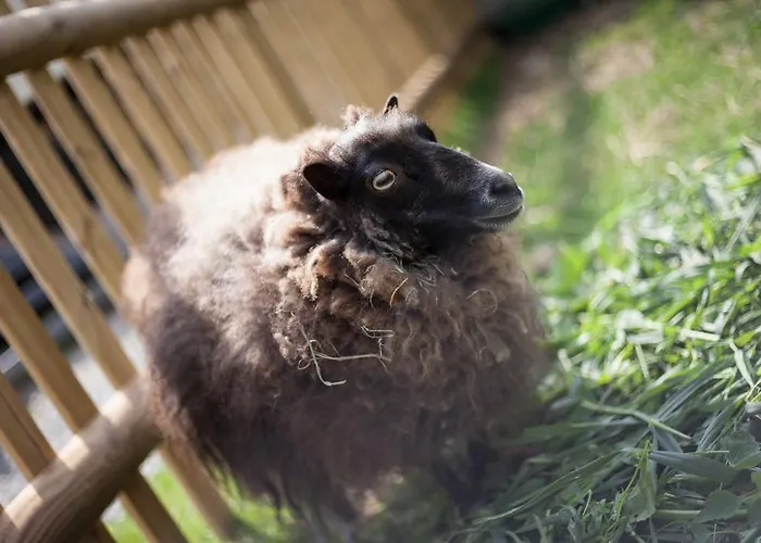 Familiengut Burgstaller מלון 4*